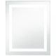 Tükrök, vidaXL LED-es fürdőszobai tükör érintésérzékelővel 50 x 60 cm