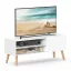 TV szekrény ajtóval és polcokkal, fehér 120x40x49cm