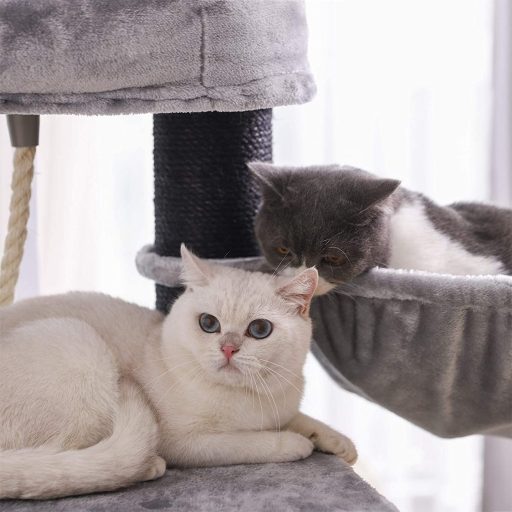 FEANDREA Macskafa, Nagy Macskatorony Bolyhos Plüss Pihenővel, Macskakondó Kosaras Pihenővel és