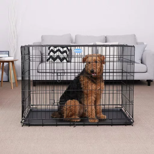 FEANDREA Kutya Ketrec, Összecsukható, 107 cm, 2 Ajtó, XL, Fekete PPD42H