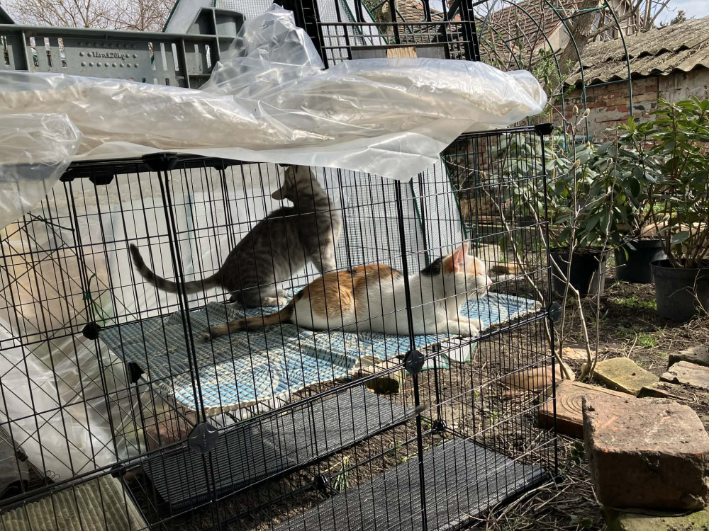 Fém ketrec háziállatoknak tengerimalac, hörcsög, nyúl számára 36 paneles, fekete 143x73x71cm