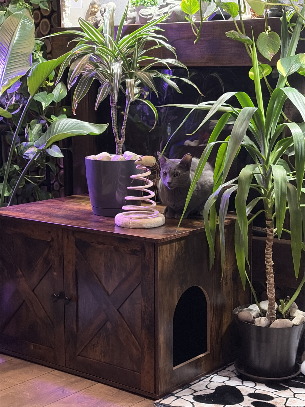 Macska alomszekrény, alomtálca tartó, rusztikus barna 80x53x50cm