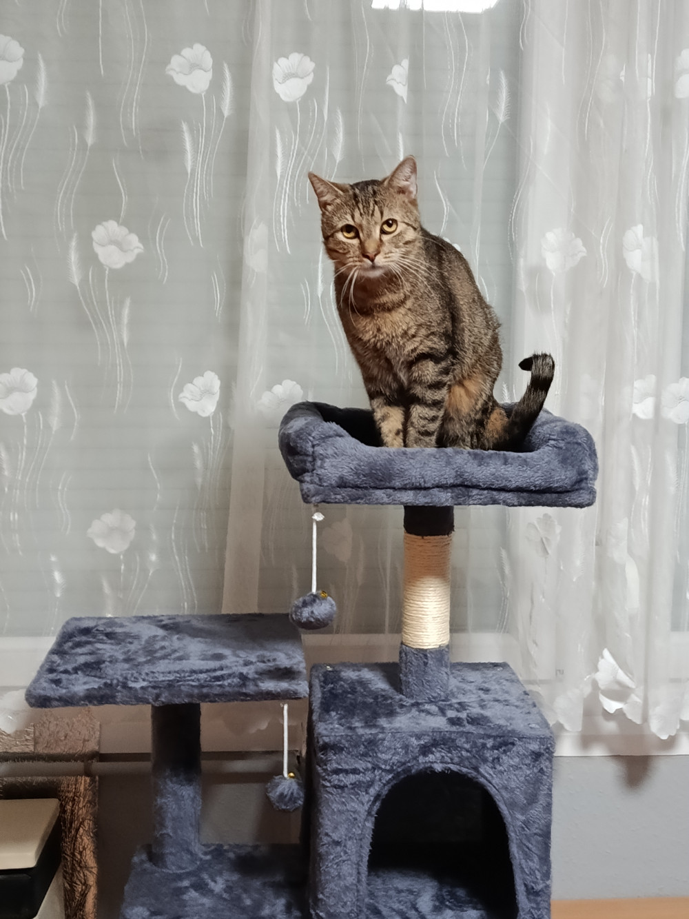 Macska kaparófa, többszintes macskatorony, világosszürke 55x45x143cm