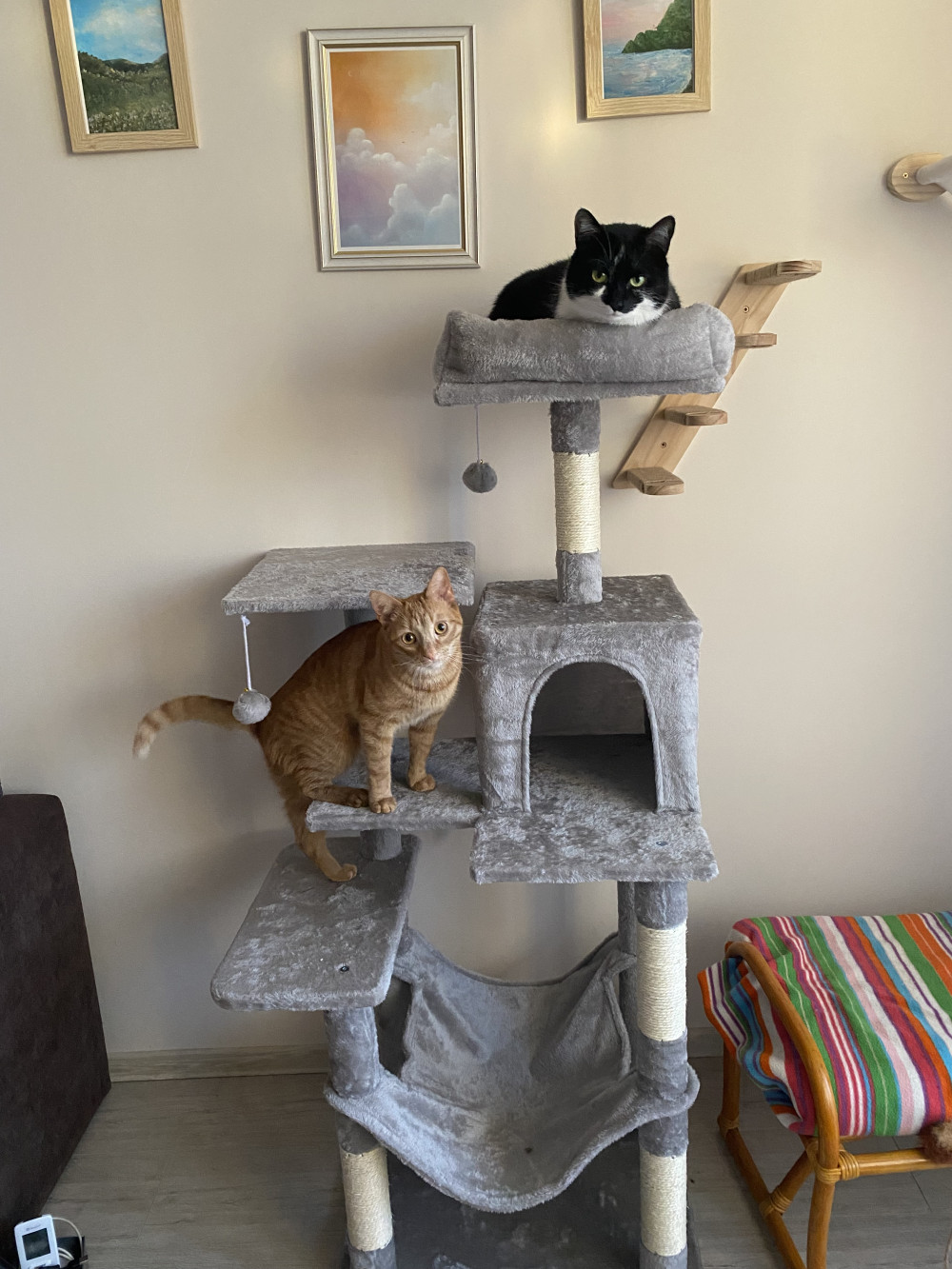 Macska kaparófa, többszintes macskatorony, világosszürke 55x45x143cm